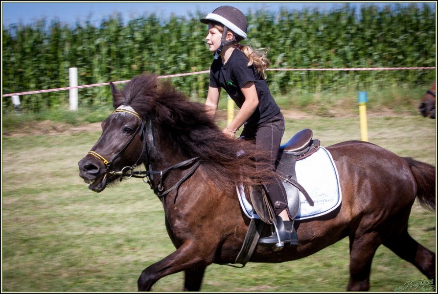 Mounted Games 031